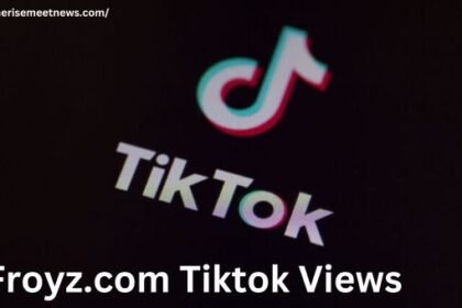 froyz.com tiktok views