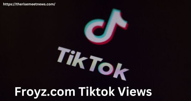 froyz.com tiktok views